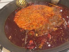 -朱光玉火锅馆(正弘城店)