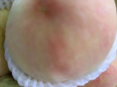 -南汇新场正宗水蜜桃采摘