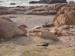 -青岛第三海水浴场