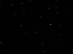-STARRY CAFE & LOUNGE BAR(高新店)