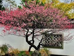 -杭州植物园