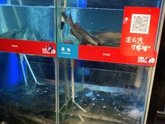 -鱼酷活鱼烤鱼(人信汇商场店)