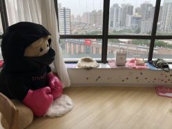 -E.L.K造型momopark店