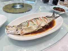 -伊尹活海参馆(衡山路店)