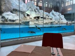 -帝企鹅自助餐厅•儿童岛•真企鹅(长隆企鹅酒店)