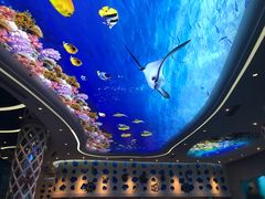 -瑞德姆美人鱼海底演艺主题餐厅(亚龙湾店)