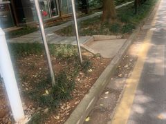 -索拉古贝(义乌北苑店)