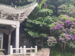 -广州市白云山风景名胜区