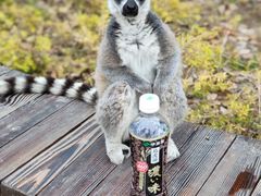 -上海野生动物园