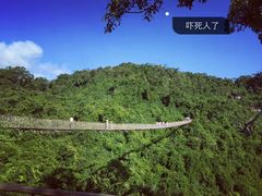-三亚亚龙湾人间天堂鸟巢度假村