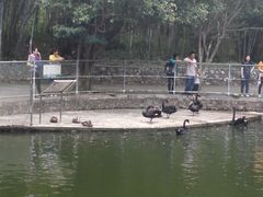 -广东茂名森林公园