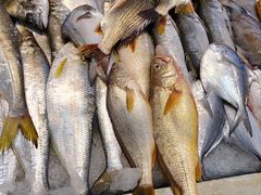 -乐在集市海鲜大排档(平潭店)