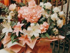 -栖巢咖啡馆(双岗店)