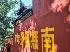 -乌山风景区