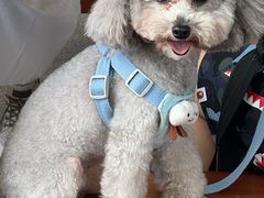 -阿弟特色海鲜餐厅·大排档(平潭店)