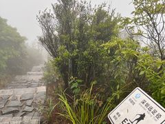 -马峦山郊野公园