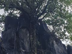 -玉石林风景区