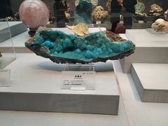 -湖南省地质博物馆