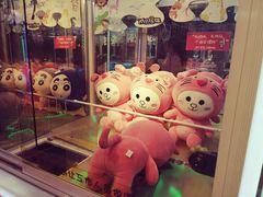 -PAWTOY爪e玩偶店(天兴罗斯福店)