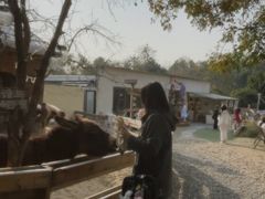 -HERRE·FARM 赫尔露营农场·团建聚会包场