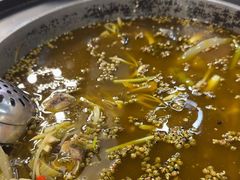 -重庆乌鱼庄·龙滋鲜(青羊大道店)