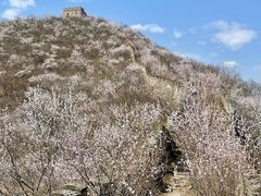 -龙泉峪长城