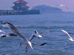 -栈桥景区