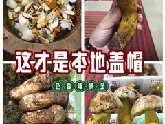 -双喜农庄·菌香园(安居家园店)