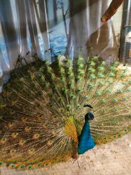 -酷嗒动物文化乐园(cutezoo西溪乐天城店)