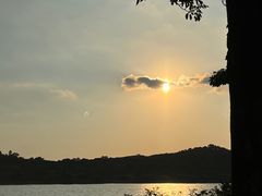 -鹤之洲湿地公园