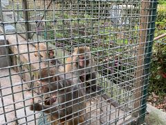 -南京金牛湖风景区