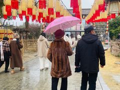 -东台西溪天仙缘景区