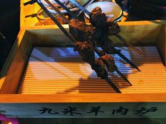 -蔡记·九米羊肉炉(东渡店)