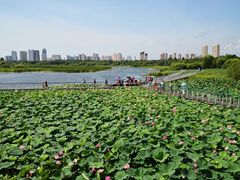 -哈尔滨大剧院