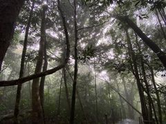 -七仙岭温泉国家森林公园