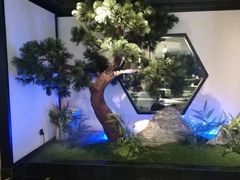 -绿茶餐厅(成都大悦城店)