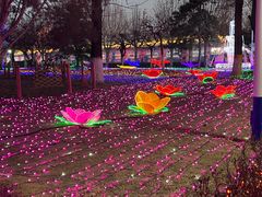 -青龙湖公园