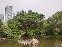 -深圳野生动物园