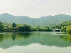 -杭州半山国家森林公园