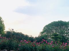 -汉水公园