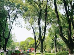 -昆山城市生态森林公园