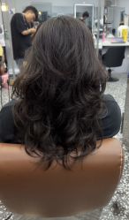 -DC Design造型·烫染接发