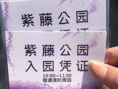 -嘉定紫藤园