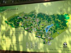 -成都大熊猫繁育研究基地