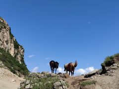 -灵山