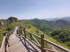 -大岭沟猕猴桃谷风景区