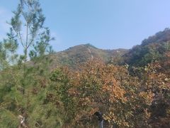 -北京西山国家森林公园