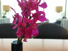 -北京柏悦酒店·锦庭餐厅Dining Room