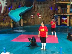 -烟台海昌鲸鲨海洋公园