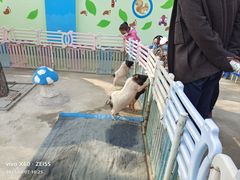 -石家庄市动物园